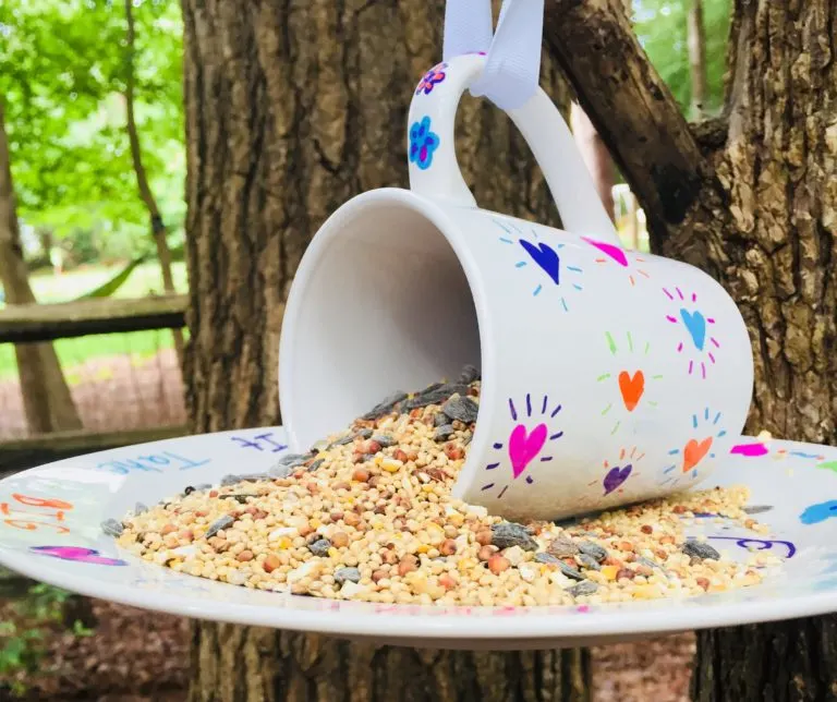 DIY Sharpie Mug Bird Feeder