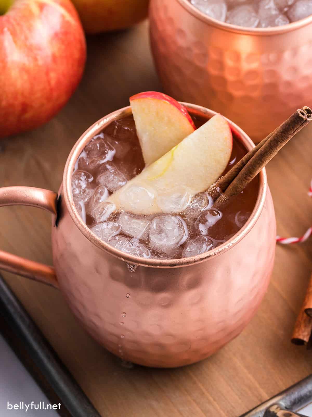 Apple Cider Moscow Mule blog