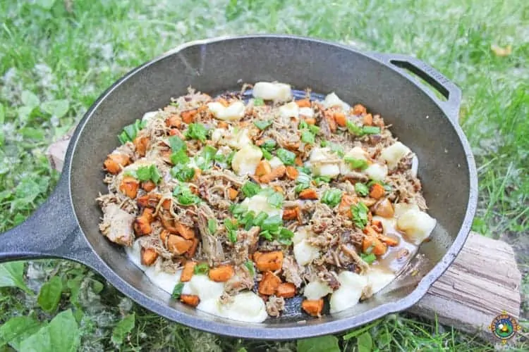 poutine with pulled pork in a cast iron skillet