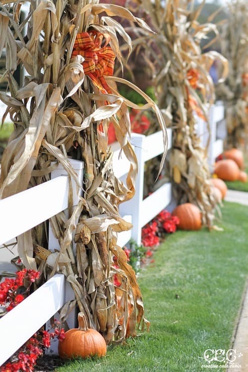 Fall Fence Cornstalk Decorations for the yard