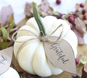 mini pumpkins with printable tags