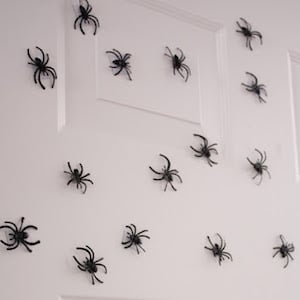 Magnetic Spiders for Front Door