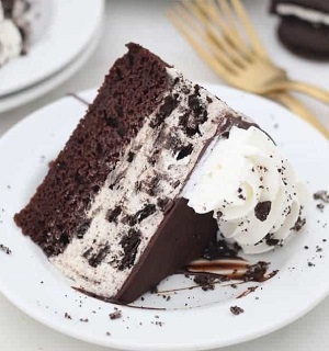 Oreo Ice Cream Cake 089