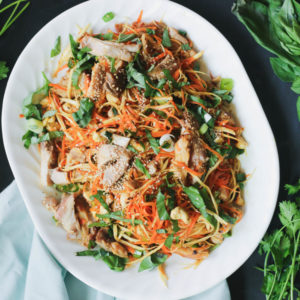 Paleo Asian Chicken Noodle Salad sq