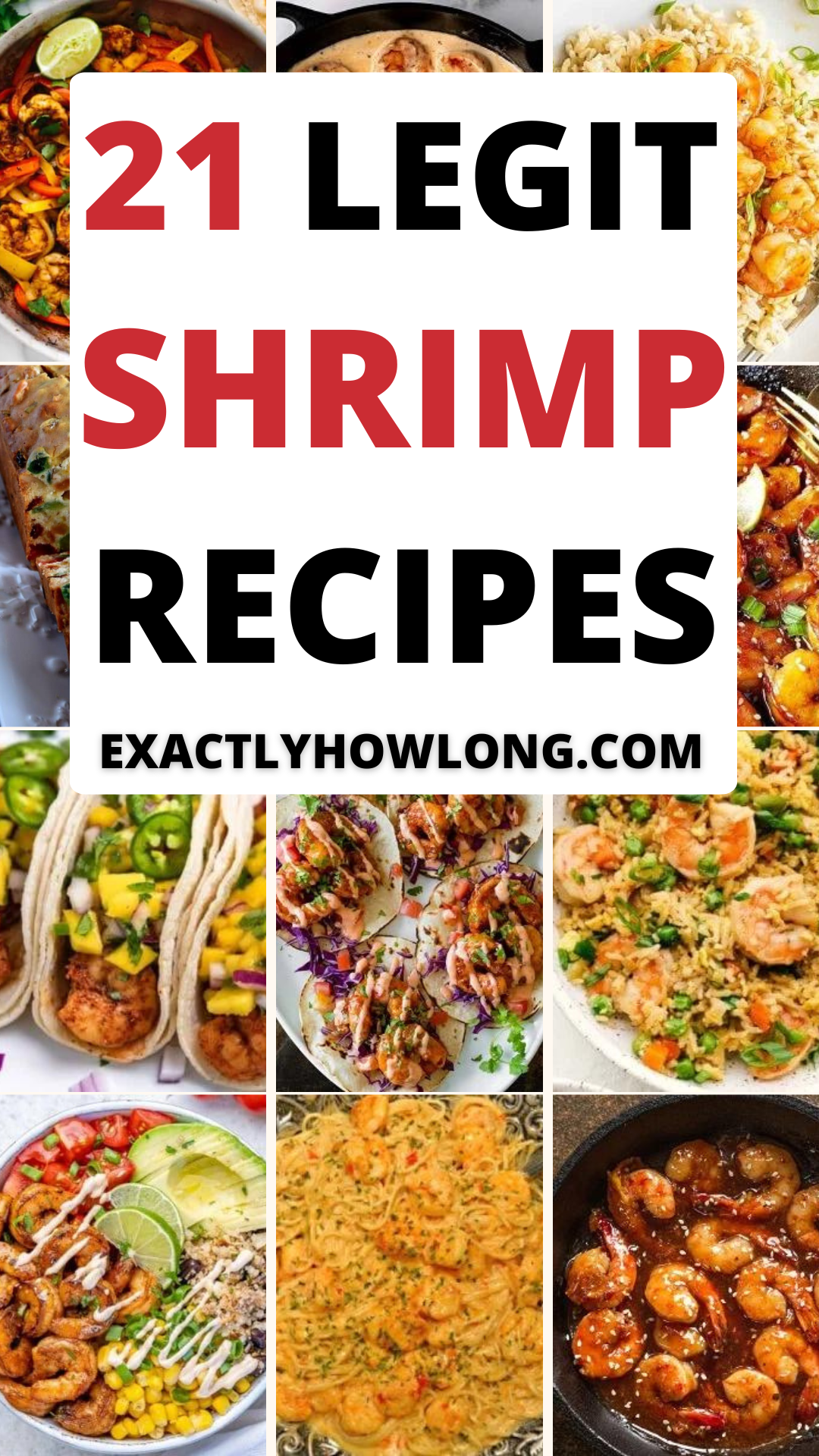 Shrimp Recipes