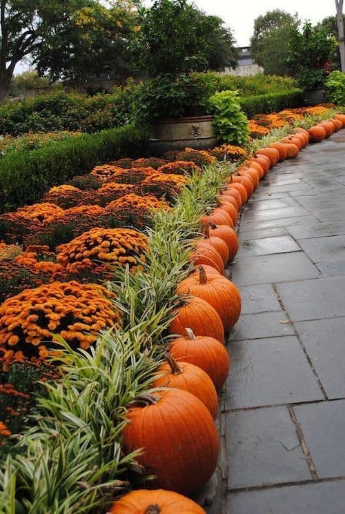 Fall Landscaping  with pumpkins and mums