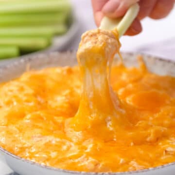 buffalo chicken dip