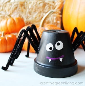 Flower Pot Spiders